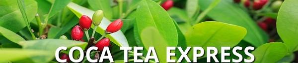 coca tea express site